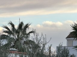 256-17-01-2026 IMG_3467